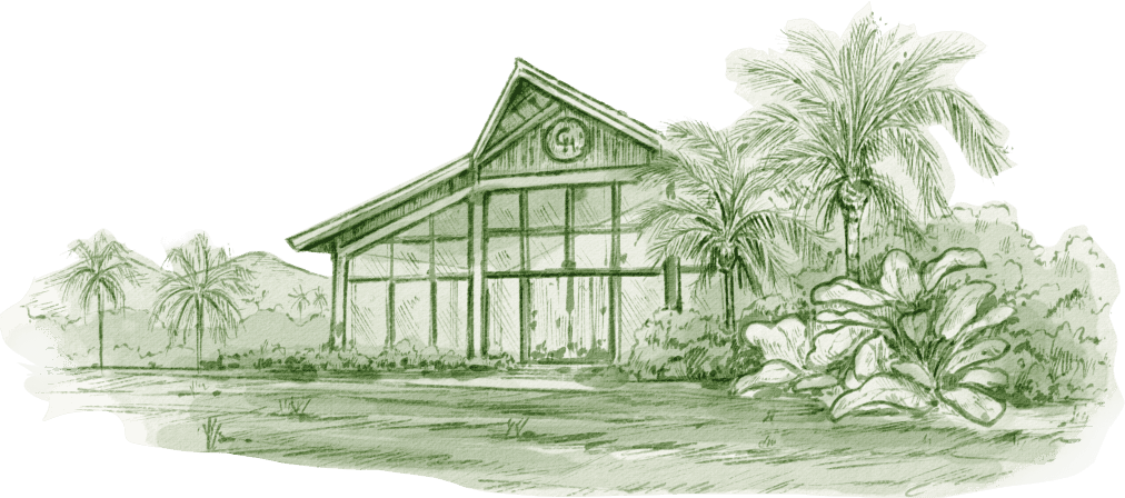 Entrada do Estaleiro Guest House